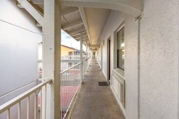 호텔 Red Roof Inn Plano