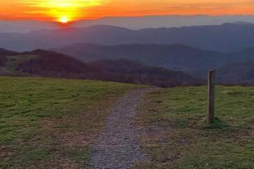 ユースホステル Laughing Heart Lodge