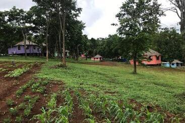 هتل Gibbon Lodge