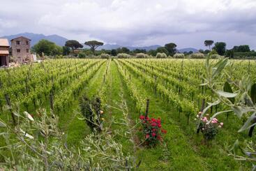 هتل I Cacciagalli Wine Resort
