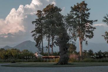 هتل I Cacciagalli Wine Resort