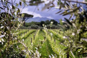 هتل I Cacciagalli Wine Resort