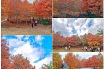 تختخواب و صبحانه Taitung Fulu Homestay