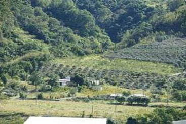 تختخواب و صبحانه Taitung Fulu Homestay