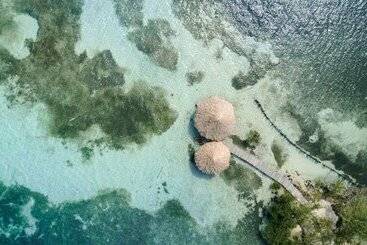 هتل Thatch Caye, A Muy Ono Resort