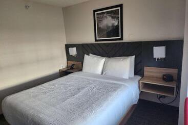 هتل Best Western Buffalo Inn & Suites