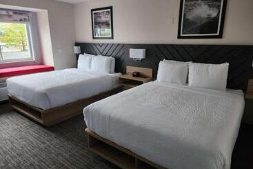 هتل Best Western Buffalo Inn & Suites