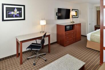 هتل Best Western Plus Peak Vista Inn & Suites