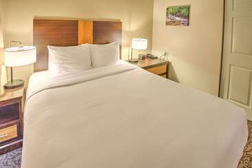 Leconte Hotel & Convention Center, Ascend Hotel Collection