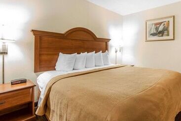 هتل Quality Inn & Suites At Dollywood Lane