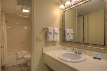 هتل Quality Inn & Suites At Dollywood Lane