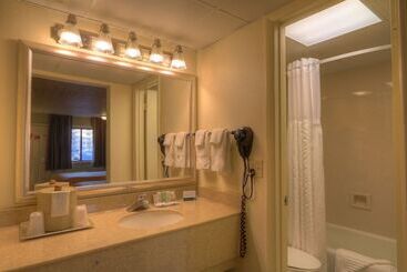هتل Quality Inn & Suites At Dollywood Lane