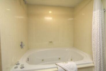 هتل Quality Inn & Suites At Dollywood Lane