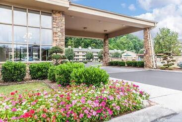 هتل Quality Inn & Suites At Dollywood Lane