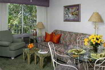 Magic Tree Resort