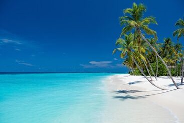 هتل Baglioni Resort Maldives Luxury All Inclusive   Lhw