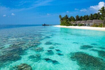 هتل Baglioni Resort Maldives Luxury All Inclusive   Lhw