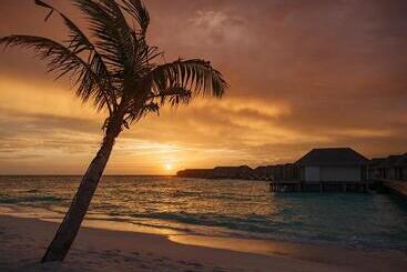 هتل Baglioni Resort Maldives Luxury All Inclusive   Lhw