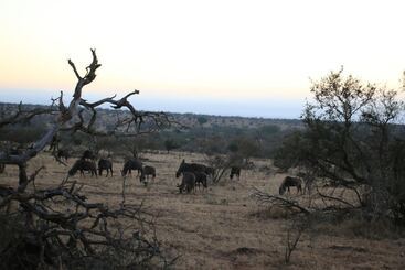 פנסיון Kruger Castle Guest House