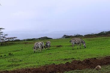 Ole Itiko Cottages