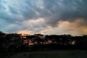 Ole Itiko Cottages
