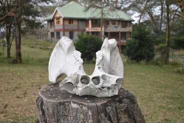Ole Itiko Cottages