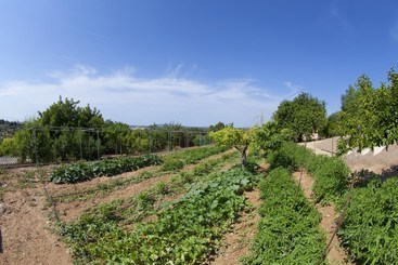 Villa Putxet