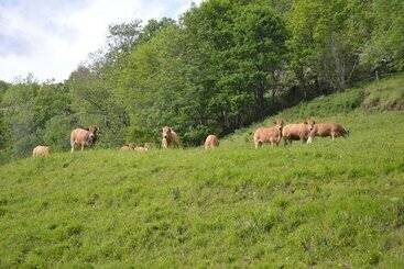 住宿加早餐  Chambres D Hôtes Le Lepadou Bas