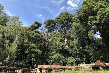 Edinburgh Cabin Camping