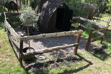 Edinburgh Cabin Camping