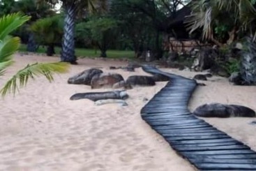 هتل Isanga Bay