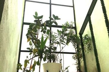 پانسیون Hostal Hermanos Sánchez