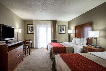 هتل Comfort Inn & Suites At Dollywood Lane