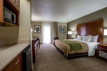 هتل Comfort Inn & Suites At Dollywood Lane