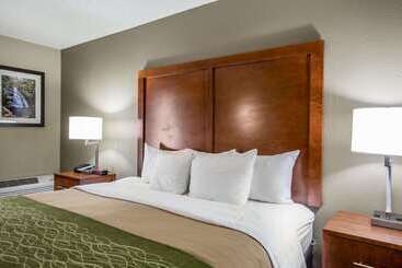 هتل Comfort Inn & Suites At Dollywood Lane