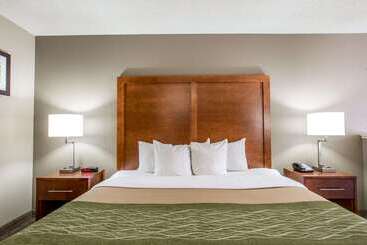 هتل Comfort Inn & Suites At Dollywood Lane