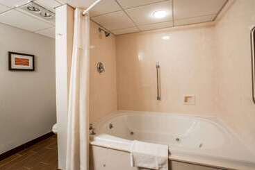 هتل Comfort Inn & Suites At Dollywood Lane