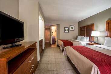 هتل Comfort Inn & Suites At Dollywood Lane