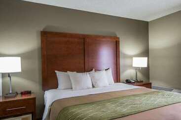 هتل Comfort Inn & Suites At Dollywood Lane