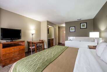 هتل Comfort Inn & Suites At Dollywood Lane