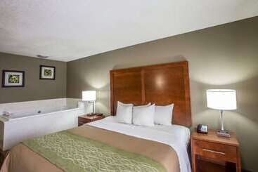 هتل Comfort Inn & Suites At Dollywood Lane