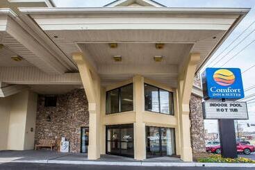 هتل Comfort Inn & Suites At Dollywood Lane