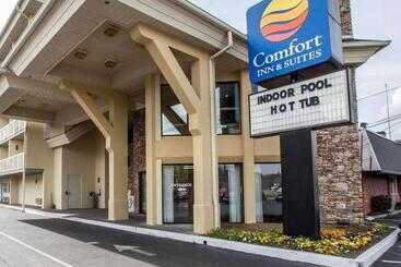 هتل Comfort Inn & Suites At Dollywood Lane