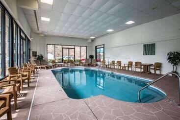 هتل Comfort Inn & Suites At Dollywood Lane