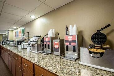 هتل Comfort Inn & Suites At Dollywood Lane