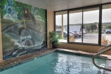 هتل Comfort Inn & Suites At Dollywood Lane