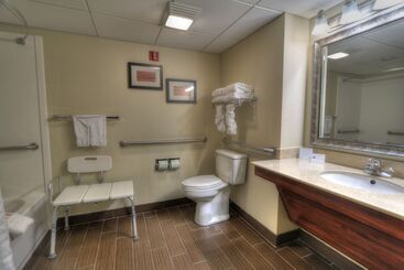 هتل Comfort Inn & Suites At Dollywood Lane