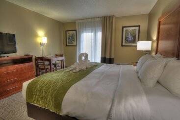 هتل Comfort Inn & Suites At Dollywood Lane