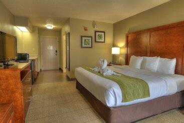 هتل Comfort Inn & Suites At Dollywood Lane