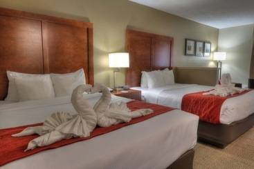 هتل Comfort Inn & Suites At Dollywood Lane